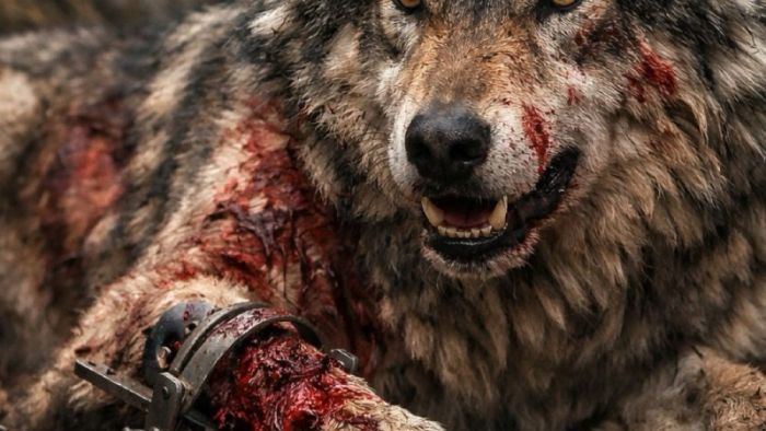 Kötüleri Korku Durdurur, Merhamet Değil: İbrahim Murat Gündüz’den Sert Mesaj